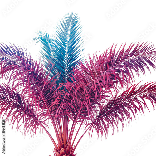 Colorful Palm Tree Leaves Arranged in a Unique Pattern Under Bright Light