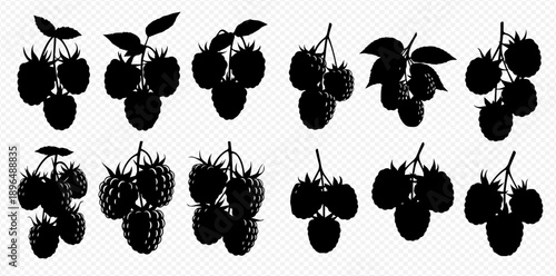 Collection of various raspberry fruit silhouettes, perfect for design elements and healthy food concepts.