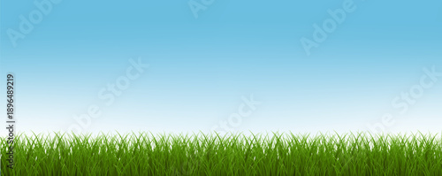 Easter Spring Grass Nature Background