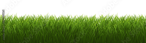 Green Grass Isolated And WhiteBackground