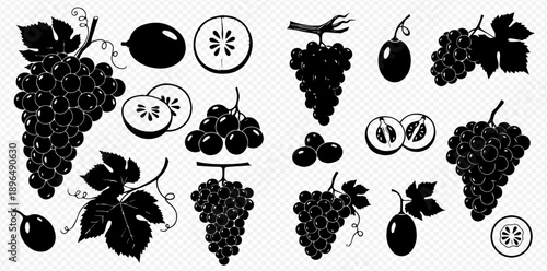 Set of black and white grape and kiwi fruit silhouettes, featuring whole fruits, slices, and bunches with leaves, perfect for design elements.