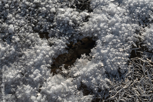 Winter frost forms ice crystals.