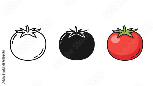 Tomato ripening stages illustration flat design vector fresh produce