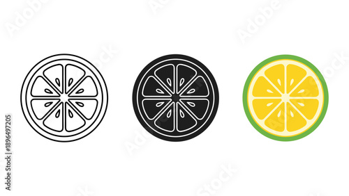 Lemon Slices in Various Styles on White Background