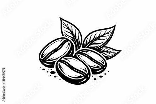 Coffee Beans with Leaves Illustration