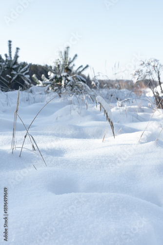 Nature is covered with snow in winter.