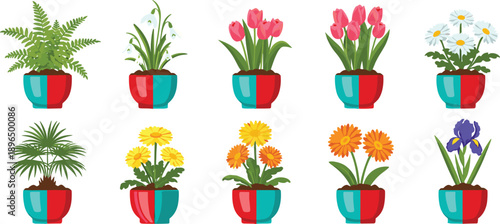 Potted house plants illustration set with colorful flowers and indoor greenery for home decor gardening botanical design collection