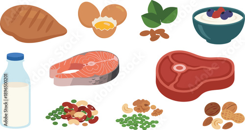 High Protein Food Collection with Meat Fish Eggs Milk Yogurt Nuts and Beans Isolated on White Flat Vector Illustration