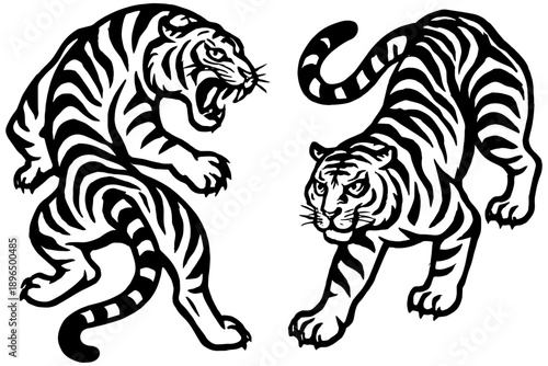 tiger vector illustration,
Predatory Wild Cats Collection, Tiger Vector Art