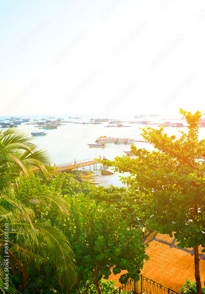 Fototapeta premium View on marina on bright sun. Boats at pier are visible in distance. Fishing boats in sea in bright sunset day. People enjoying view ocean shore. Trees provide green foliage in foreground. Boats dock.