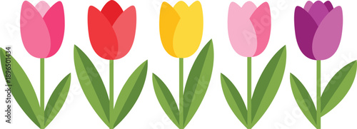 Colorful Flat Tulip Flower Set with Green Leaves Isolated on White Background Spring Floral Vector Illustration