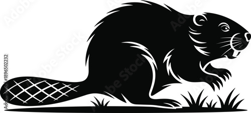Beaver silhouette on ground with detailed tail, minimalist vector illustration representing wildlife, river animals, nature conservation, woodland habitat, and outdoor ecological design