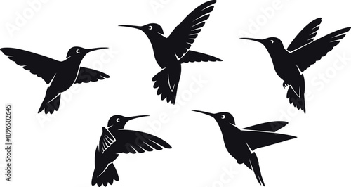 A group of hummingbirds in silhouette are flying together in a beautiful display of nature silhouette