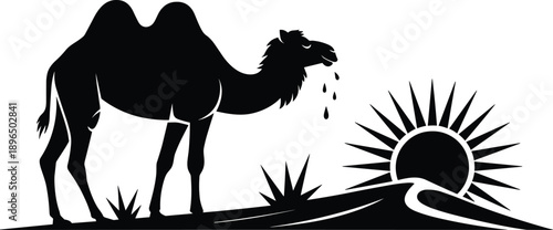 Black camel silhouette in desert sunset landscape, minimalist vector illustration symbolizing travel, arid wilderness, nomadic life, Middle East and African nature