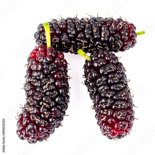 Fresh Mulberries Isolated on White Background, Dark Purple Long Berries with Sweet Juicy Flesh and Natural Antioxidant Nutrition Concept