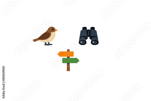 Birdwatching with binoculars and direction signs in a nature setting during daytime