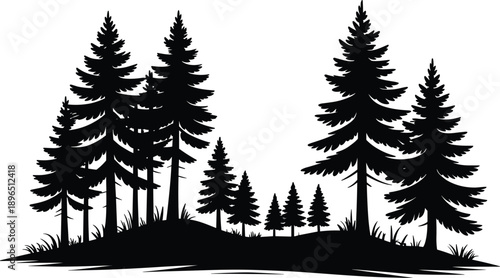 Pine forest silhouette landscape with tall evergreen trees, bold black nature illustration isolated on white background for wilderness design, outdoor themes, logos, posters, and stock graphics