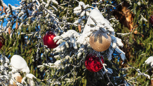 Colored balls on the Christmas tree, selective focus.