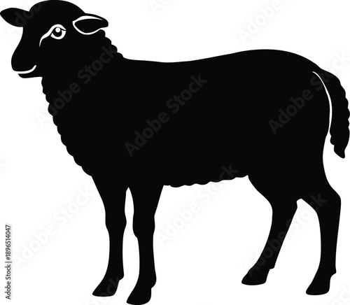 Minimal vector silhouette of sheep standing calm rural farm animal profile Vector illustration