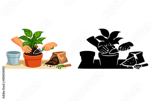 Planting a green plant in a pot with soil in a home setting while using gardening tools and preparing for growth