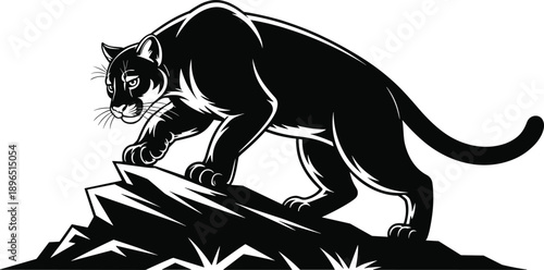 Powerful mountain lion illustration stalking on rocky cliff, bold black and white big cat predator artwork isolated on white background for wildlife and stock design
