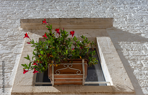 Una finestra fiorita