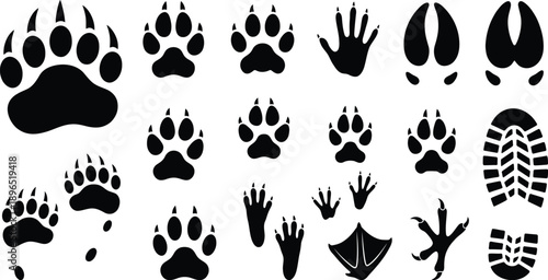 Animal track silhouettes including bear paw prints, bird footprints, and hoof marks in black on white background