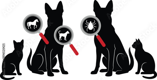 Veterinary pet inspection illustration showing dogs and cats with magnifying glass icons for parasite control health screening animal care and professional veterinary diagnosis concept