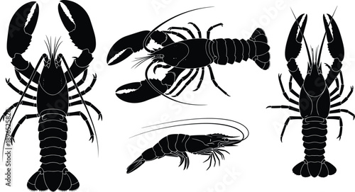 Black lobster silhouette set isolated on white background, crustacean seafood illustration collection, marine animal outline design vector graphic clipart icon