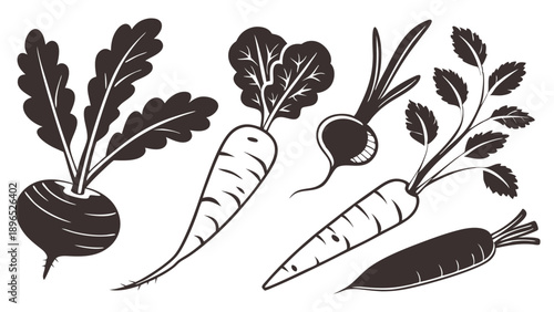 Root Vegetable Harvest Icons Beets Carrots Radishes for Healthy Eating Garden Design Elements