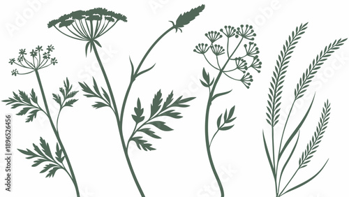 Botanical Wildflower Silhouettes for Rustic Wedding Invitations Herbal Tea Packaging Natural Branding Design