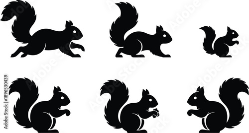   
Squirrel silhouette collection, forest animal poses, black squirrel icons, wildlife illustration, bushy tail design, feeding squirrel, nature creature shapes