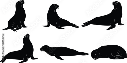 Seal, Silhouette, Animal, Marine, Pose, Sitting, Lying, Resting, Black, Shape, Icon, Nature, Flipper, Whiskers, Ocean, Wildlife, Design, Graphic, Creature, Illustration