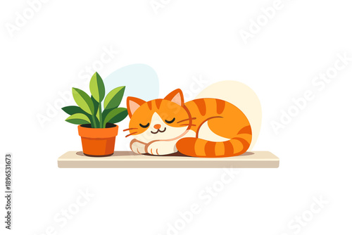 Orange cat sleeps next to green plant on shelf in a bright room during sunny day