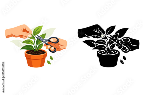 Hands using scissors to trim leaves on a small plant in a pot during daytime indoors