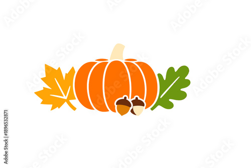 Colorful pumpkin and leaves with acorns on white background during autumn season