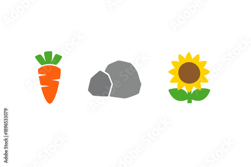 Colorful carrot, gray rocks, and bright sunflower on a white background during daytime