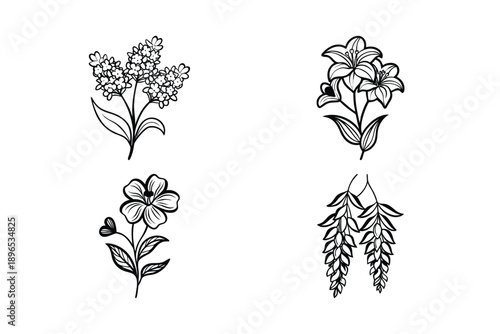 Floral Collection Featuring Lilac, Lily, And Vine Botanical Illustrations