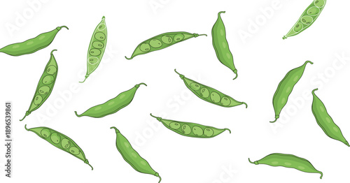 Green Pea Pods Collection with Fresh Organic Vegetables Hand Drawn Vector Illustration Set