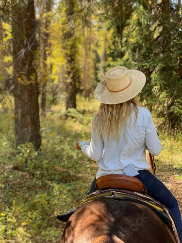 Fotografie Blonde woman in a hat on a chestnut horse in the mountains