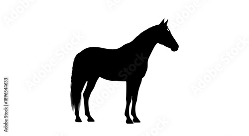 Horse silhouette vector illustration image. Transparent background SVG version.

