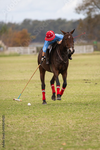 Polo horses, players, workers, tools, gear, equipment, field, sport.