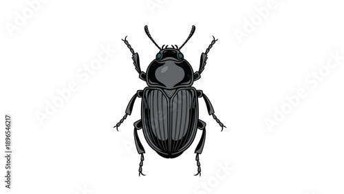 Illustration of a black beetle with antennae and legs on a white background.