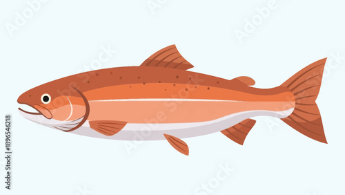 Flat vector illustration of a reddish-orange salmon fish isolated on white.
