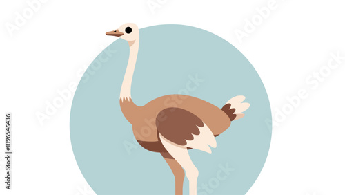 Flat design of an ostrich on a light blue background.