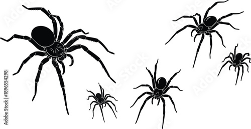 Spider silhouettes, arachnid icons, creepy crawlers, insect design, black shapes, Halloween theme, scary bug, nature symbol, animal graphic, flat vector illustration