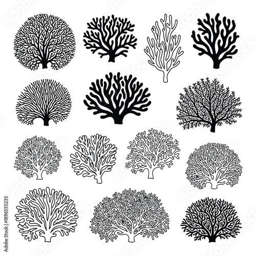 Black and white illustrations of various coral reef formations on white background