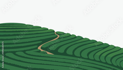 Lush Green Terraced Hills with Winding Path.