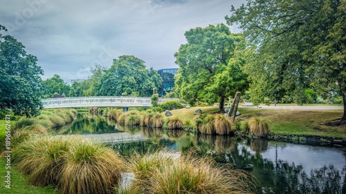 Photography A white arched bridge spans the Avon River in Christchurch, New Zealand