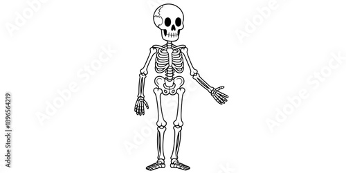 A friendly cartoon human skeleton illustration standing with an open hand gesture
